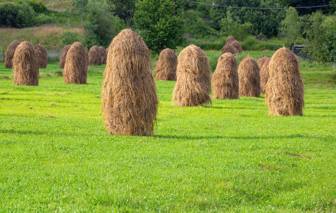 Casa De Vacanta Armi Molidu Esterno foto