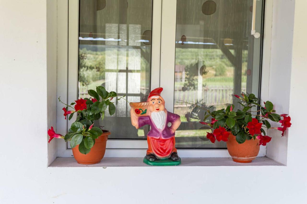 Casa De Vacanta Armi Molidu Esterno foto