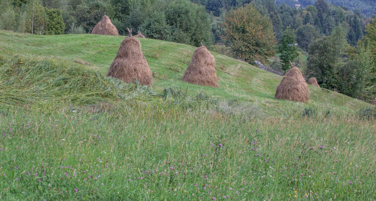 Casa De Vacanta Armi Molidu Esterno foto